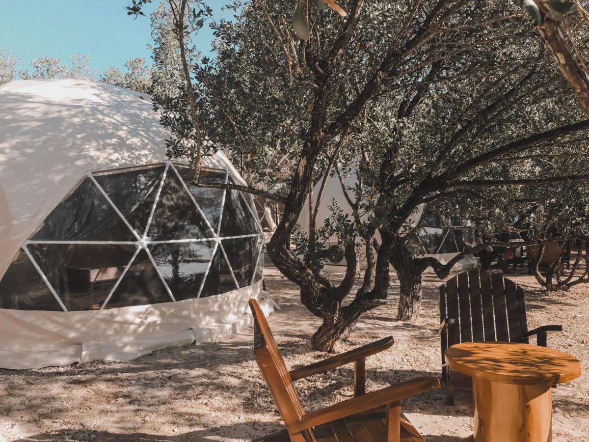 Aquamare Beach Camp Resort Сикихор Экстерьер фото